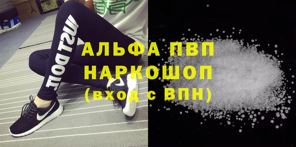 молекула духа Гусев